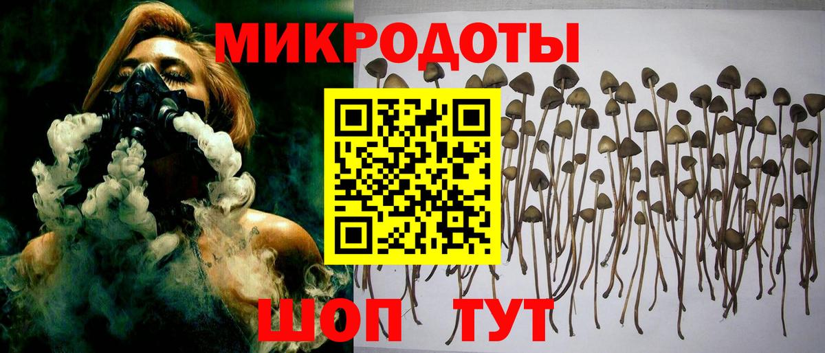 Псилоцибиновые грибы MAGIC MUSHROOMS  Вход с VPN  Нижневартовск  Галлюциногенные грибы Cubensis 